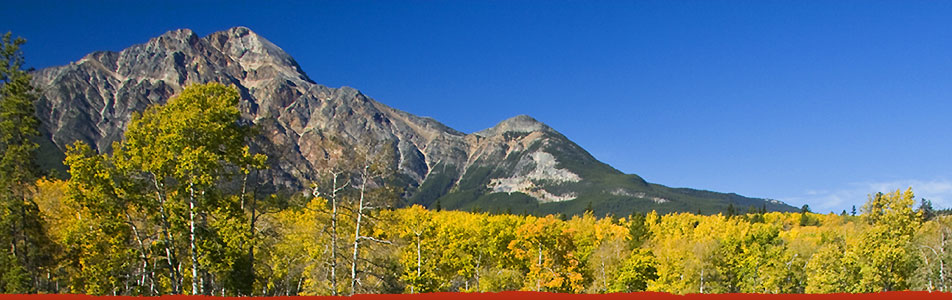 alpine village cabin rental jasper alberta canada